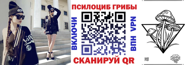 закладка  Бикин  Псилоцибиновые грибы мицелий 